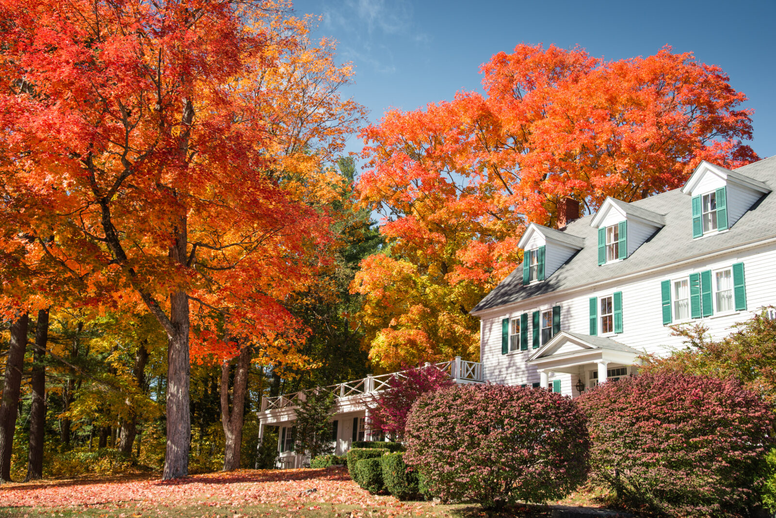 Get Packing Tips For Moving In The Fall Months Vutech Ruff get-packing-tips-for-moving-in-the-fall-months-vutech-ruff