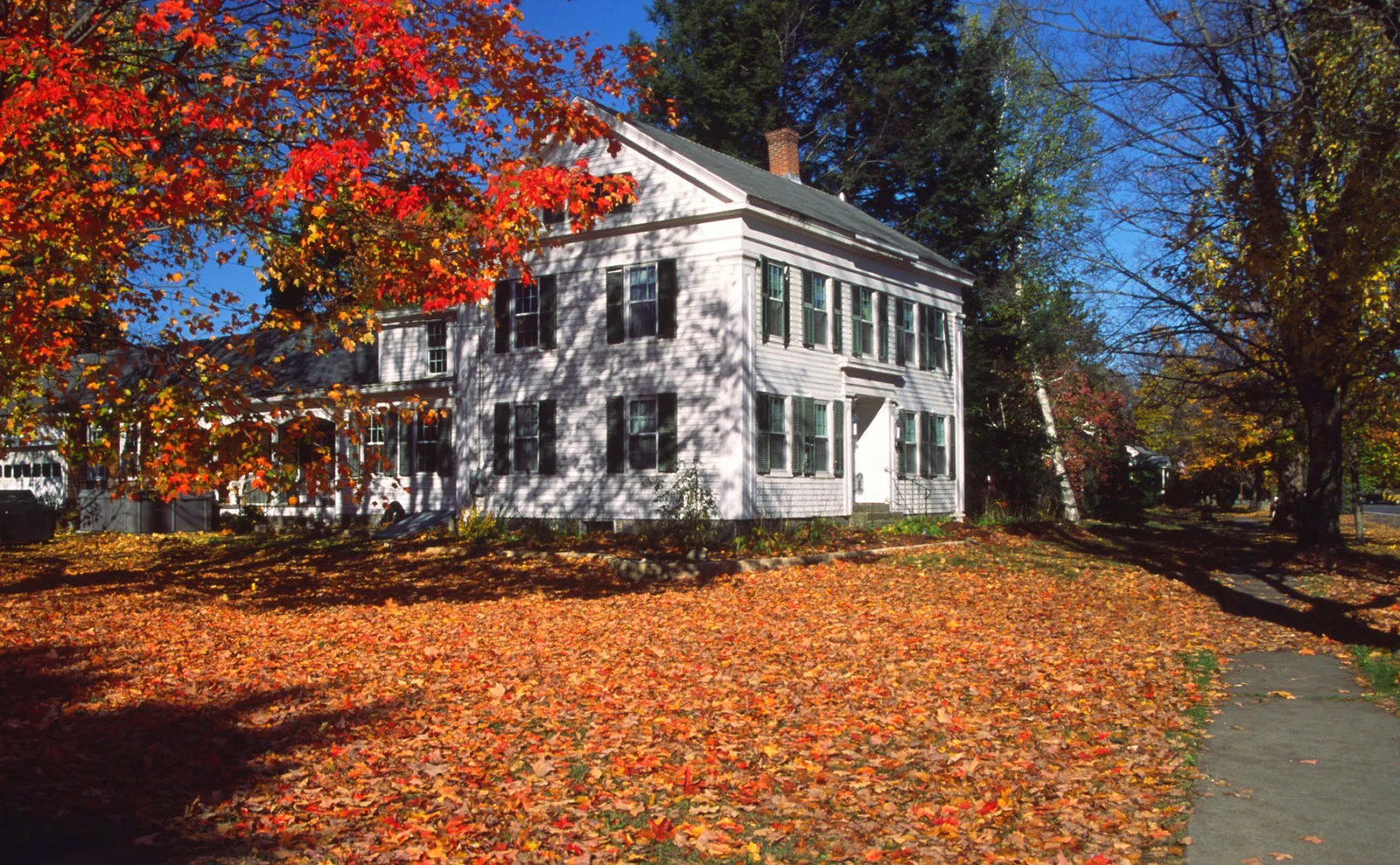 Fall Home Improvement Projects to Boost Your Home’s Value in the Spring